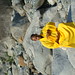 Yan Gong Photo 25