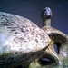 Barrie Moore Photo 30
