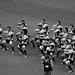 Donald Kelleher Photo 14