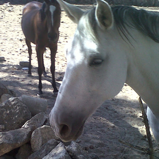 Angela Martin Photo 16