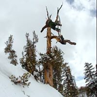 Tyler Lynch Photo 6