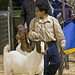 David Pettus Photo 31