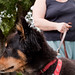 Eugene Nance Photo 12