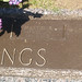 Martin Cummings Photo 38