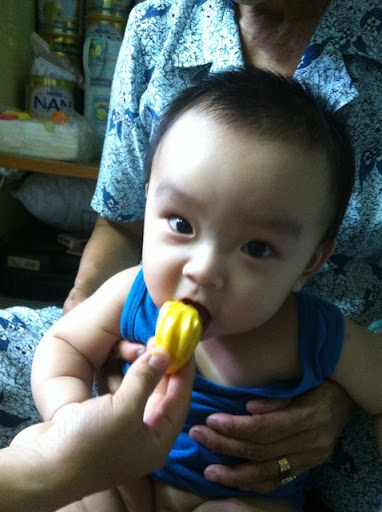 Chinh Vo Photo 16