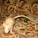 John Mish Photo 32