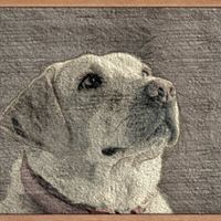 Steven Tague Photo 4