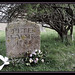 Peter Wild Photo 36