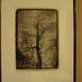 Kelly Giddings Photo 21