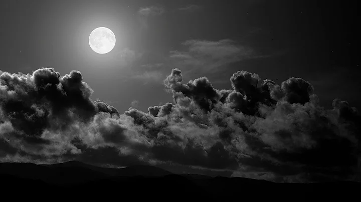 Andrew Steffen Photo 29