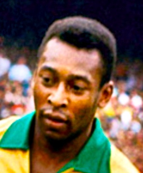 Alan Daley Photo 11