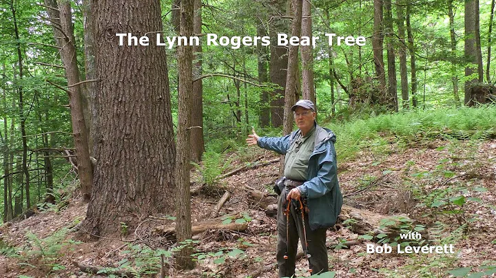 Lynn Rogers Photo 37