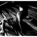 Tania Calle Photo 28