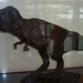Rex Stevens Photo 32