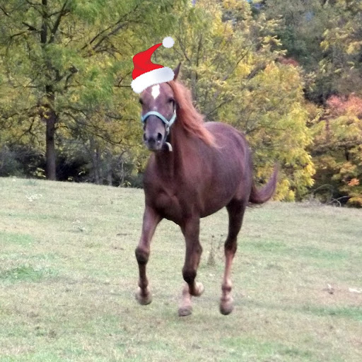 Christina Musser Photo 9