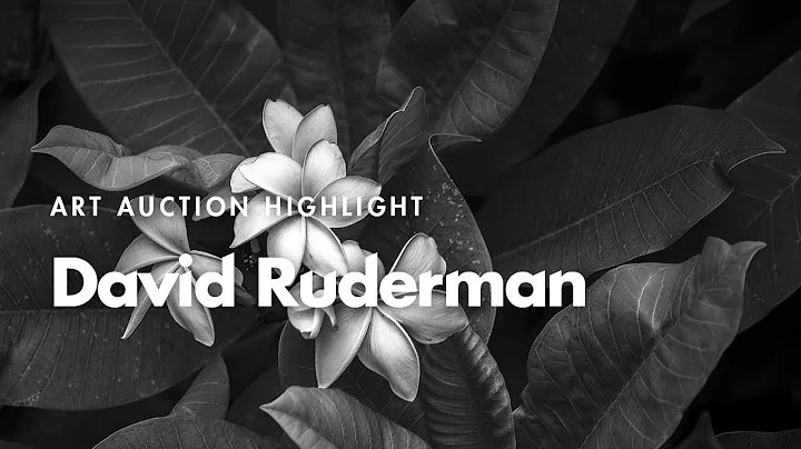David Ruderman Photo 6