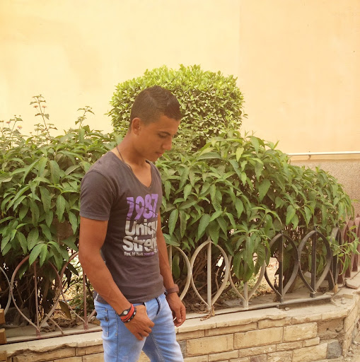 Mohamed Hamdy Photo 13