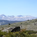 David Bartholomew Photo 48