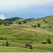 Dell Meadows Photo 13