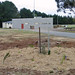Laurie Plant Photo 20