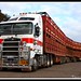 Len Mitchell Photo 23