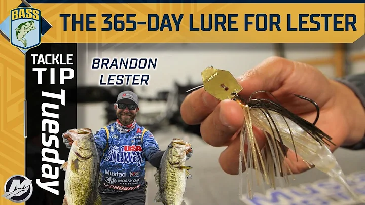 Brandon Lester Photo 32