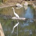 Donna Hermann Photo 26