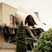 Frank Yon Photo 21