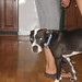 Bobby Bull Photo 31