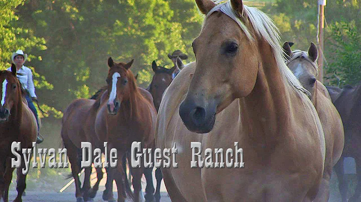 Dale Guest Photo 8