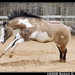 Justin Silvers Photo 22
