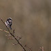 Jim Easterly Photo 19