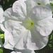 Richard Coker Photo 40