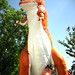 Cathy Sanders Photo 41
