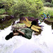 Suzanne Wing Photo 22
