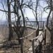 Roger Haywood Photo 17