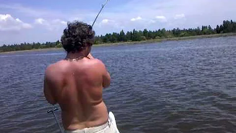 Todd Goode Photo 25