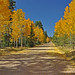 Autumn Jacobs Photo 29