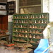 Carolyn Healy Photo 38