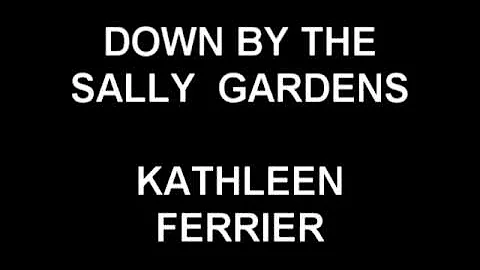 Kathleen Diorio Photo 13