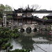 Qing Hu Photo 32