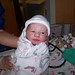 Joshua Mclean Photo 38