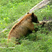 Paula Stump Photo 22