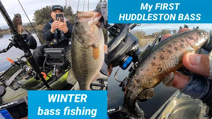 Jan Huddleston Photo 8