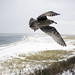 Chris Winter Photo 45