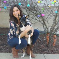 Chelsey Meyer Photo 3