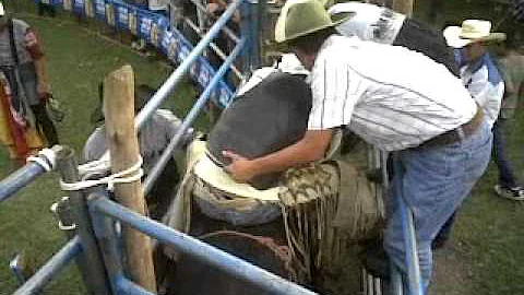 Wilbert Salazar Photo 16