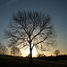 Matthew Platt Photo 37
