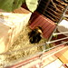 Amy Kleine Photo 13