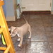 Shirley Ross Photo 44